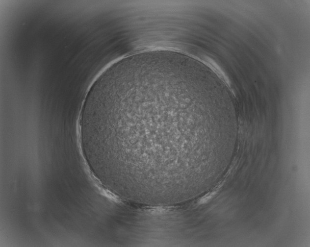 X0000076060814200610061534