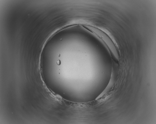 X0000076060815200610061534