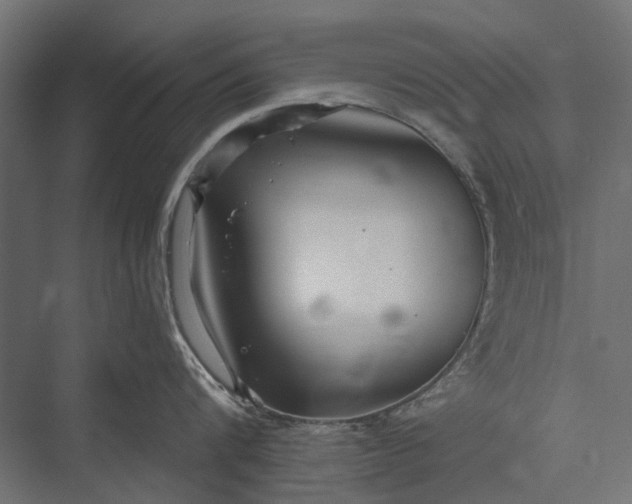 X0000076060816200610061534