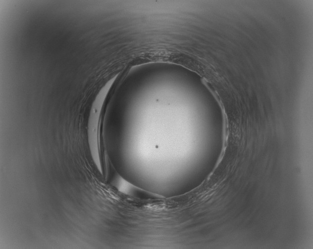 X0000076060818200610061534