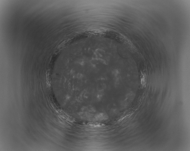 X0000076060819200610061534