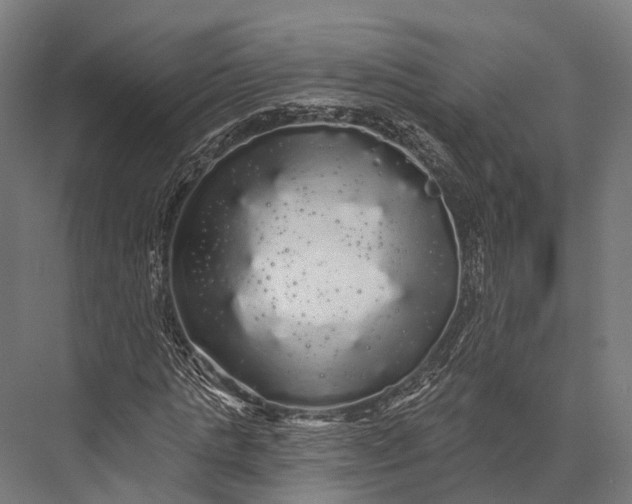 X0000076060821200610061534