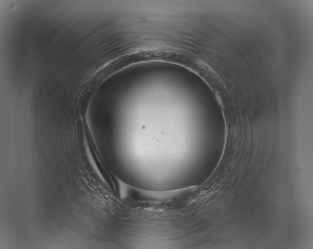 X0000076060822200610061534