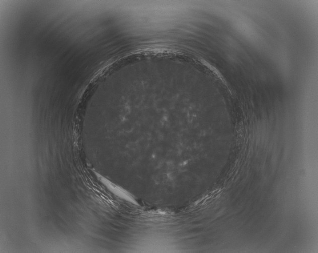 X0000076060823200610061534