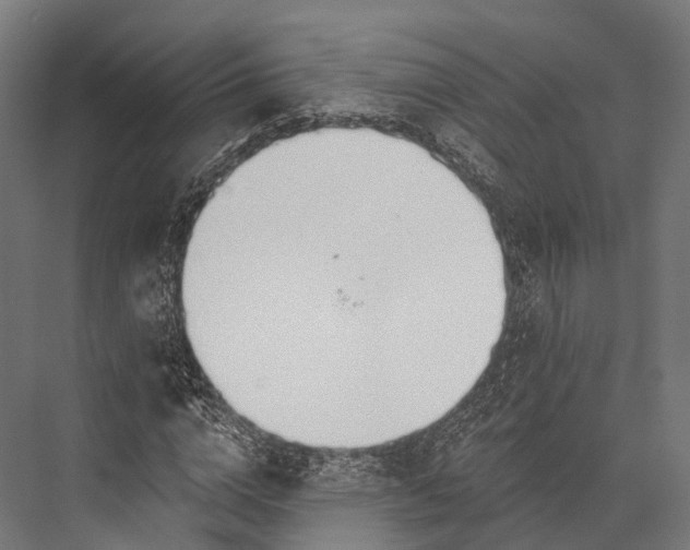 X0000076060824200610061534