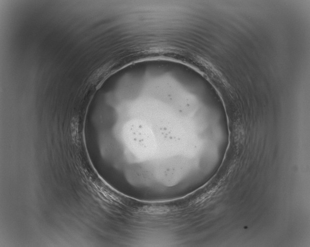 X0000076060825200610061534