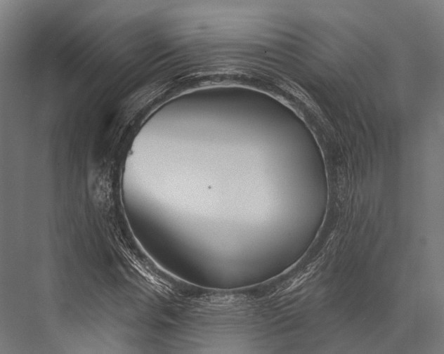 X0000076060826200610061534