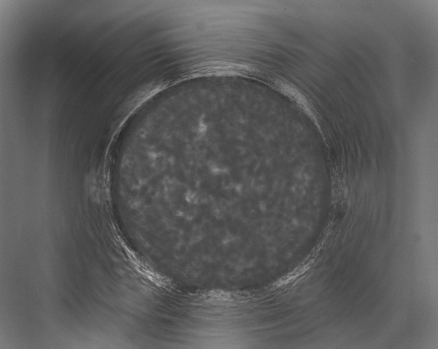 X0000076060827200610061534