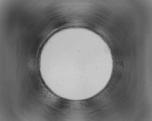 X0000076060828200610061534