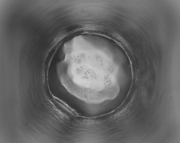 X0000076060829200610061534