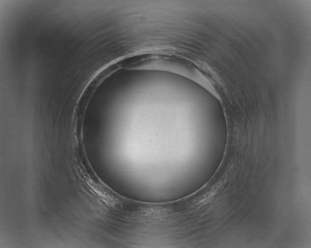 X0000076060830200610061534