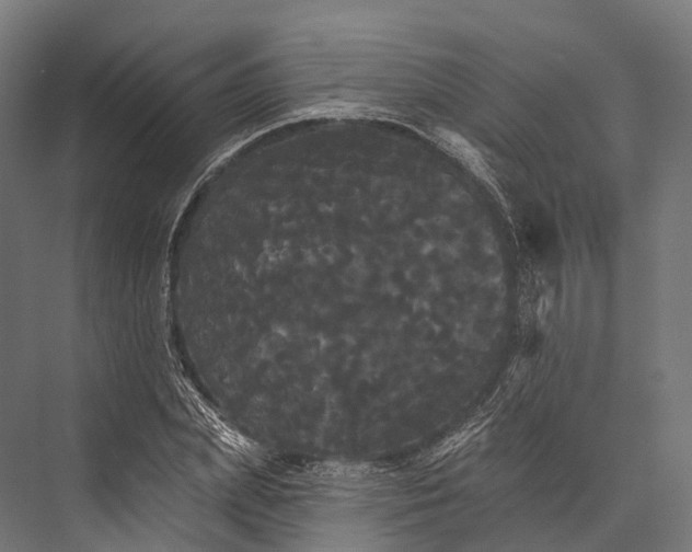 X0000076060831200610061534