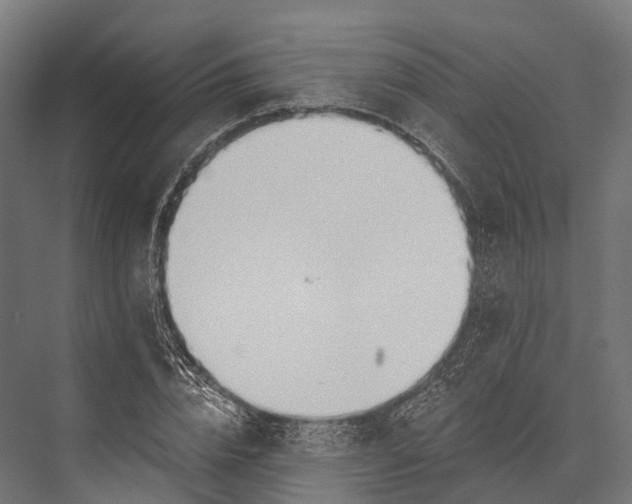 X0000076060832200610061534