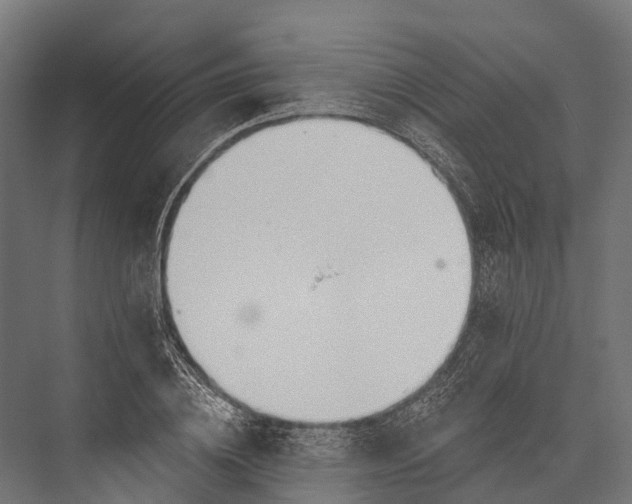 X0000076060836200610061534