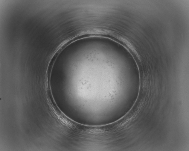 X0000076060837200610061534