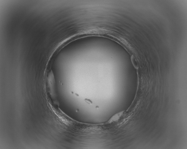 X0000076060838200610061534