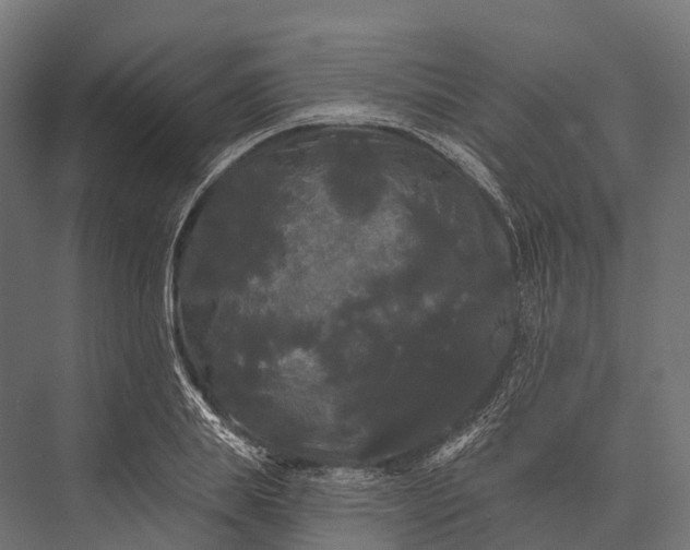 X0000076060839200610061534