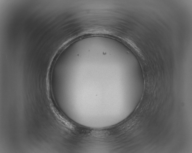 X0000076060840200610061534