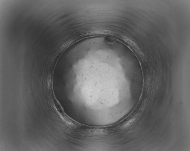 X0000076060841200610061534