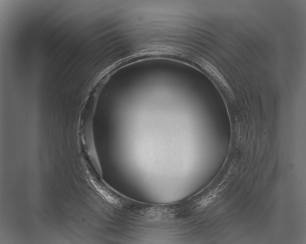 X0000076060842200610061534