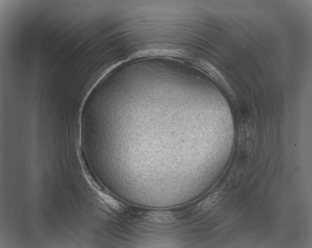 X0000076060844200610061534