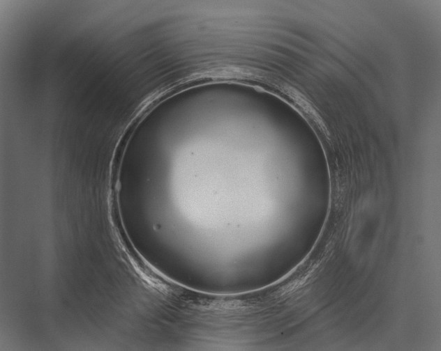 X0000076060845200610061534