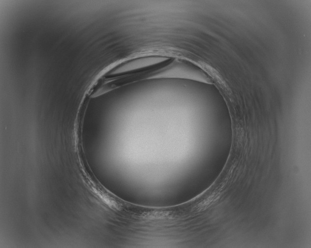 X0000076060846200610061534