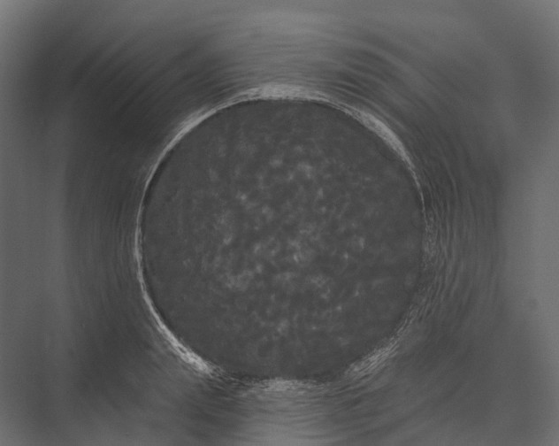 X0000076060847200610061534