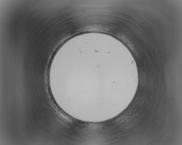 X0000076060848200610061534