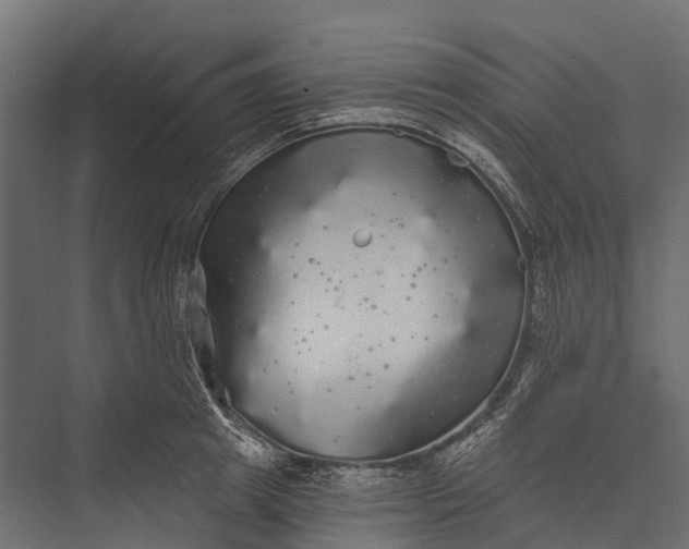 X0000076060849200610061534