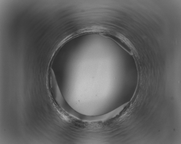 X0000076060850200610061534