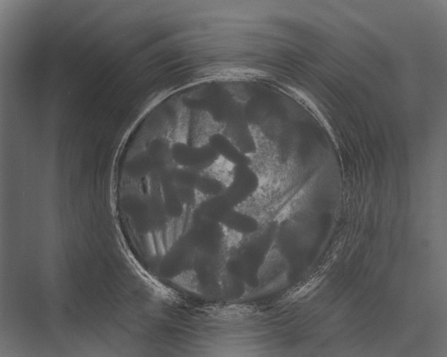 X0000076060851200610061534