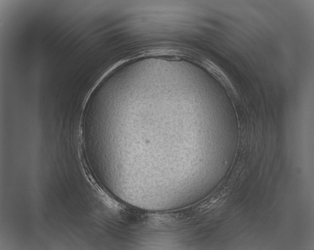 X0000076060852200610061534