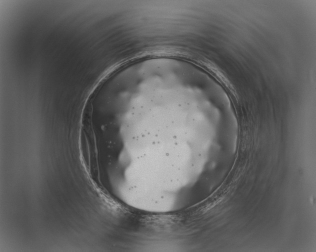 X0000076060853200610061534