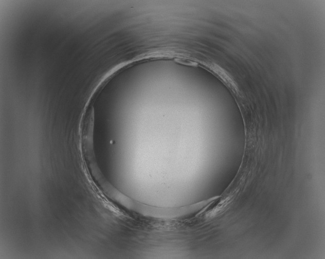 X0000076060854200610061534