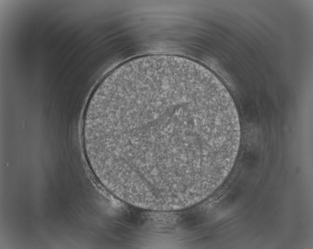 X0000076060856200610061534