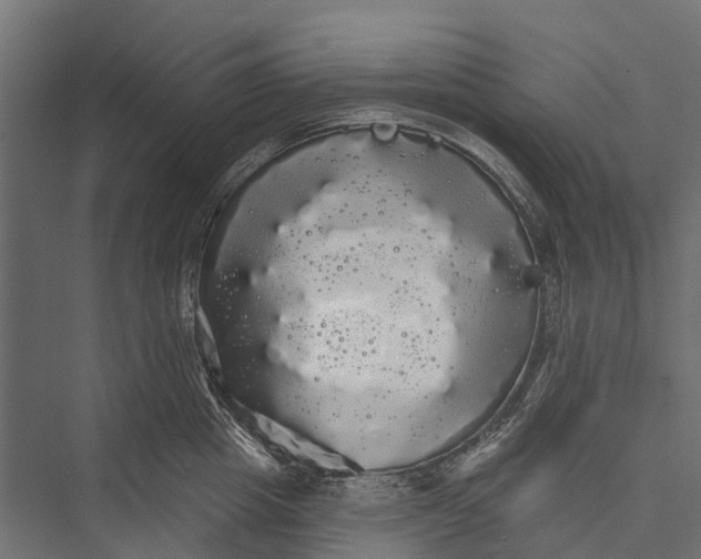 X0000076060857200610061534