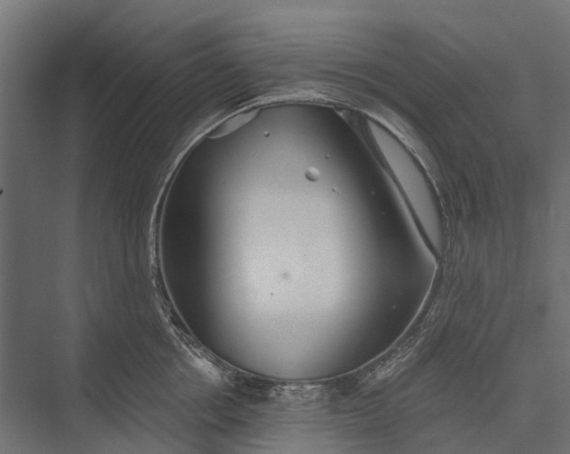 X0000076060858200610061534