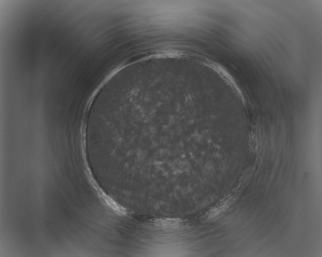 X0000076060859200610061534