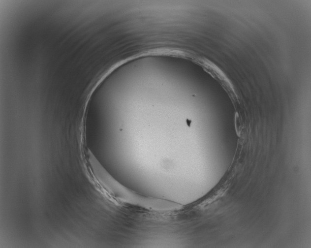 X0000076060860200610061534