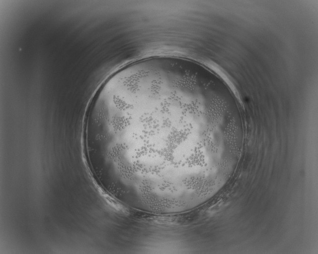 X0000076060861200610061534