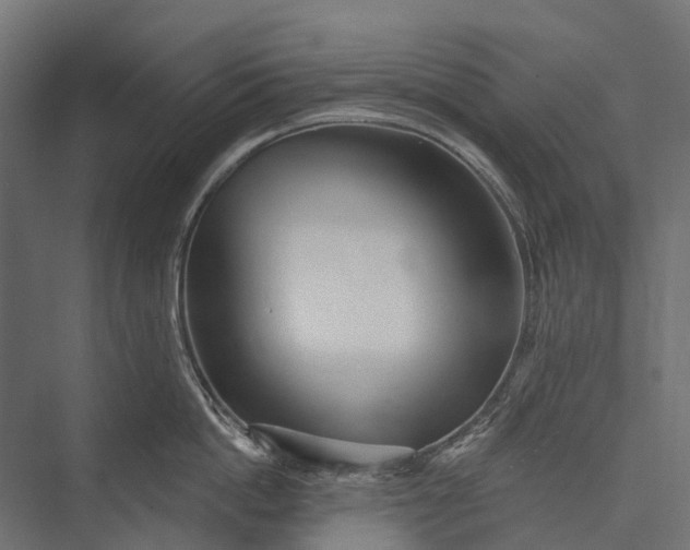 X0000076060862200610061534