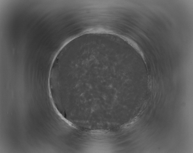 X0000076060863200610061534