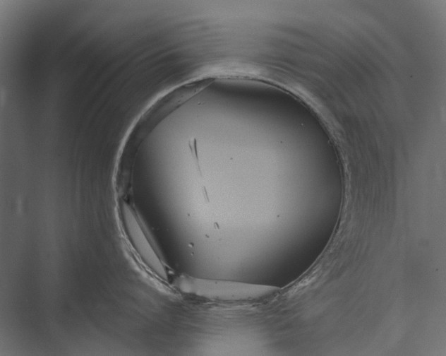 X0000076060864200610061534