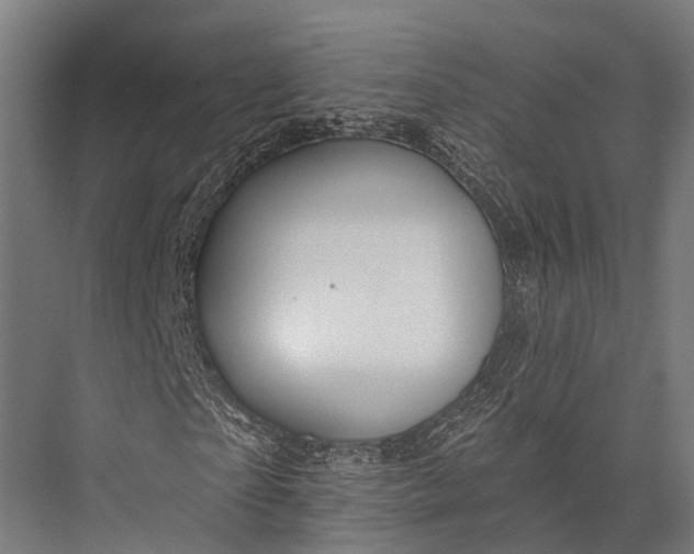 X0000076060865200610061534