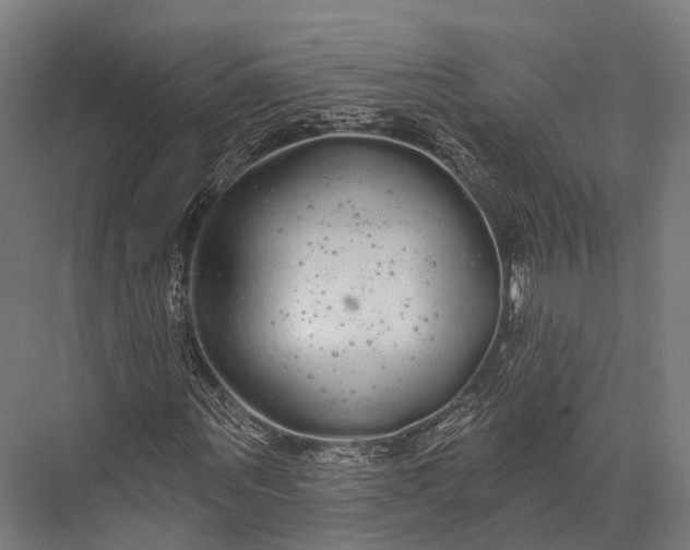 X0000076060867200610061533