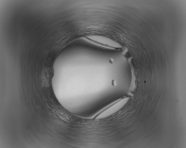 X0000076060868200610061533