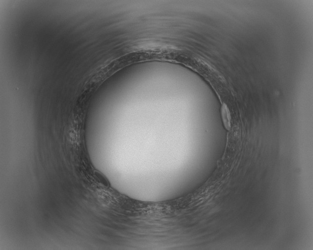 X0000076060869200610061533