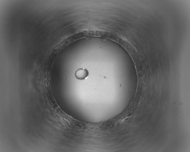 X0000076060870200610061533