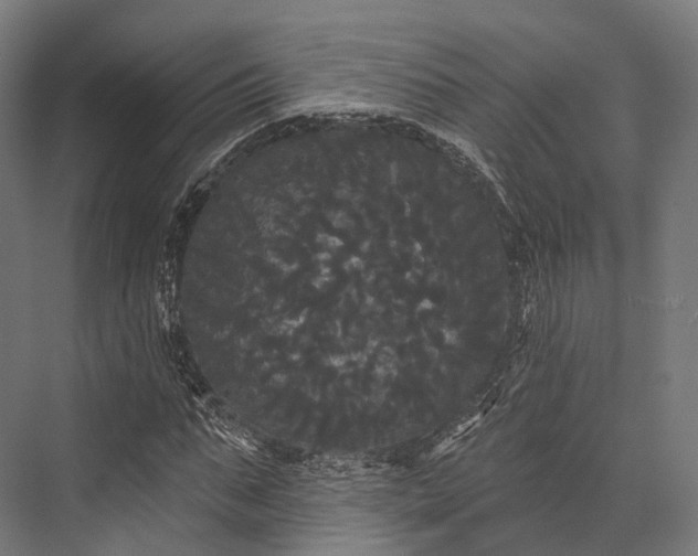 X0000076060871200610061533